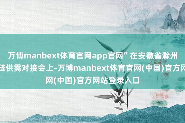 万博manbext体育官网app官网”在安徽省滁州市一场产业链供需对接会上-万博manbext体育官网(中国)官方网站登录入口