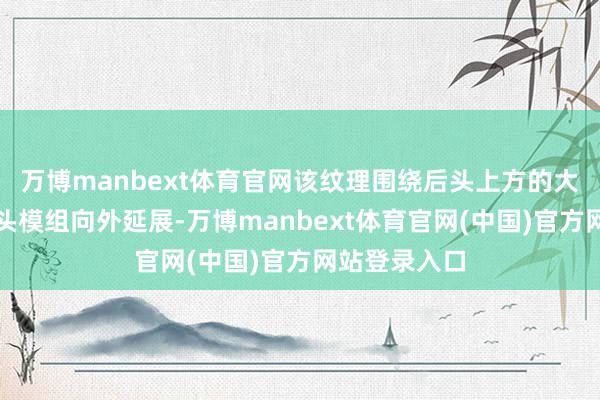 万博manbext体育官网该纹理围绕后头上方的大型圆形录像头模组向外延展-万博manbext体育官网(中国)官方网站登录入口